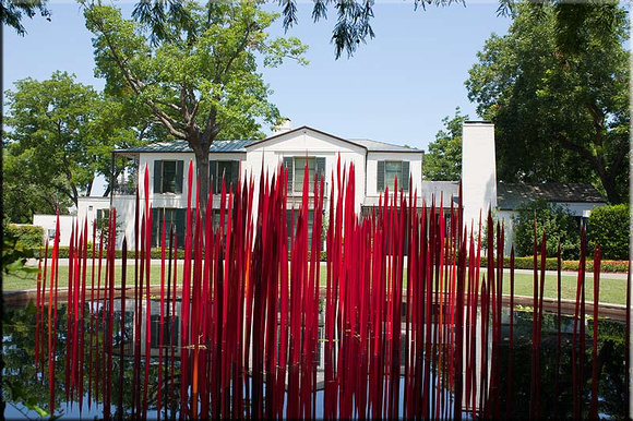 Alex-Camp-House-through-Red-Reeds